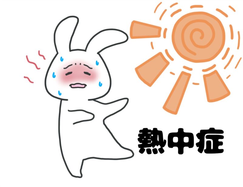 熱中症は暑邪を撃退せよ！