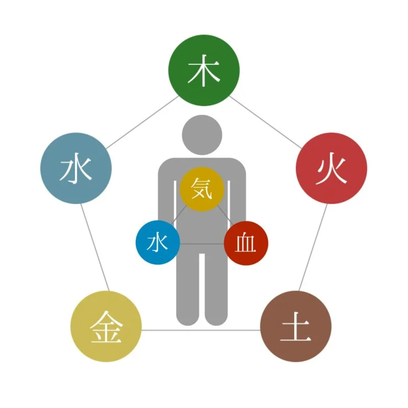 東洋医学的 身体のバランス