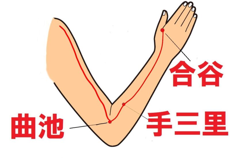 前腕の大腸経
